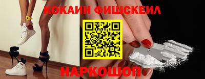 крисы Кингисепп