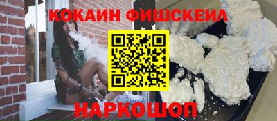 крисы Кингисепп