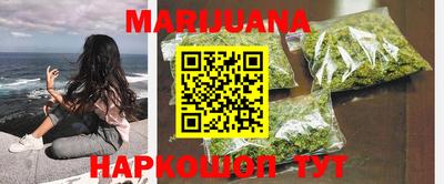 крисы Кингисепп