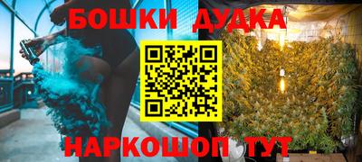 крисы Кингисепп