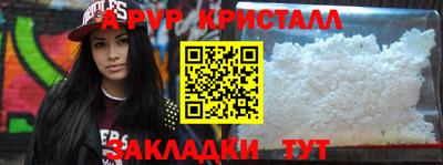 крисы Кингисепп