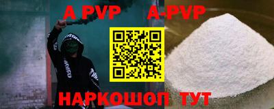 крисы Кингисепп