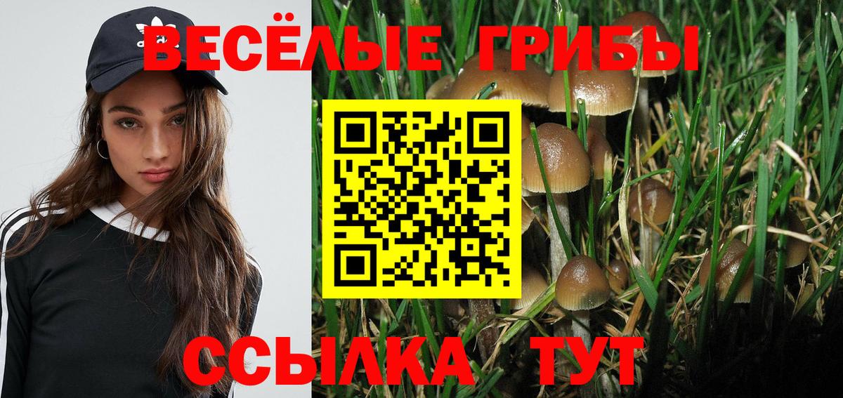 Котлас  Псилоцибиновые грибы мицелий  где купить наркоту  Вход с VPN  Галлюциногенные грибы Psilocybine cubensis 