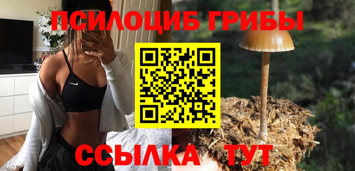 Галлюциногенные грибы прущие грибы Котлас